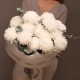 Букет белых Крупных хризантем 15 шт №73